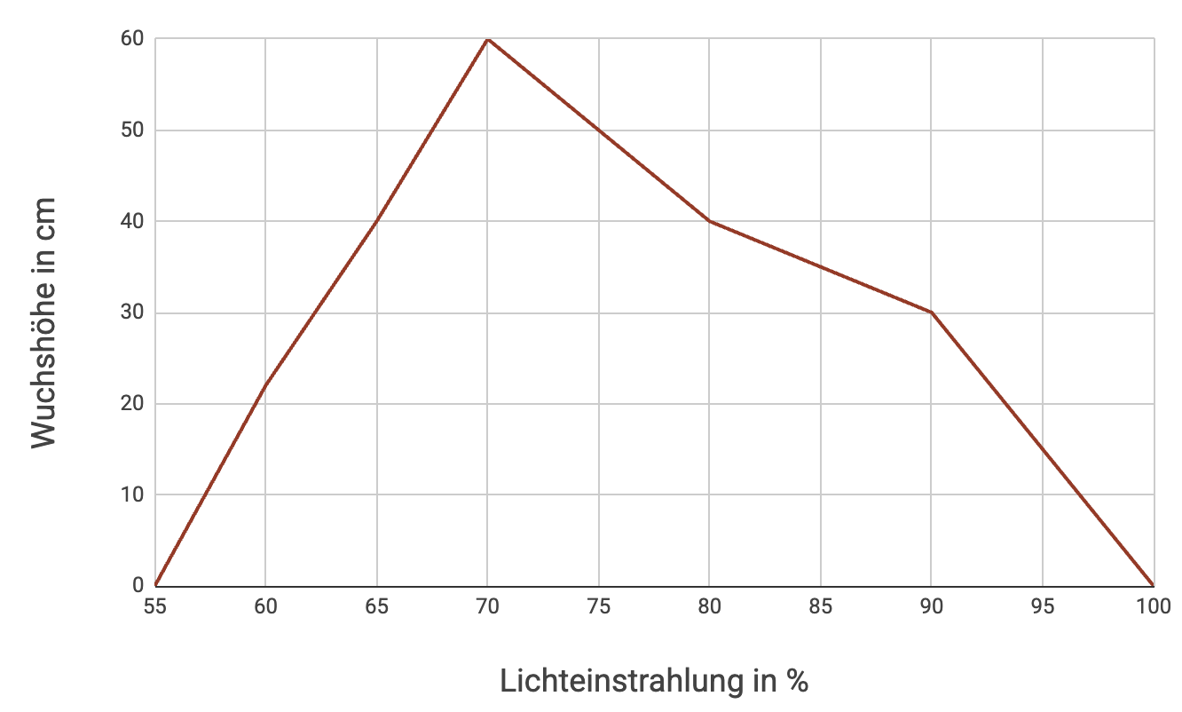 Liniendiagramm: Wuchshöhe in cm steigt bis 70% Lichteinstrahlung (ca. 60 cm), danach sinkt sie bis 100%.